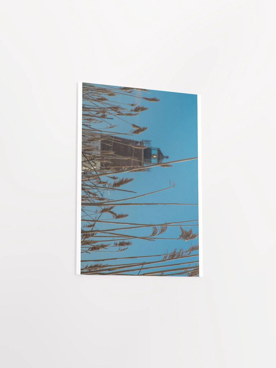 Lighthouse and Reeds product image (4)