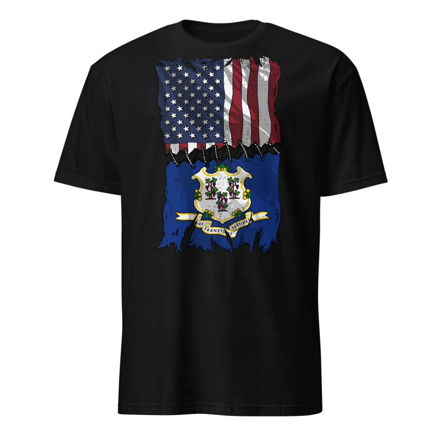 Connecticut Stitch Flag USA product image (1)