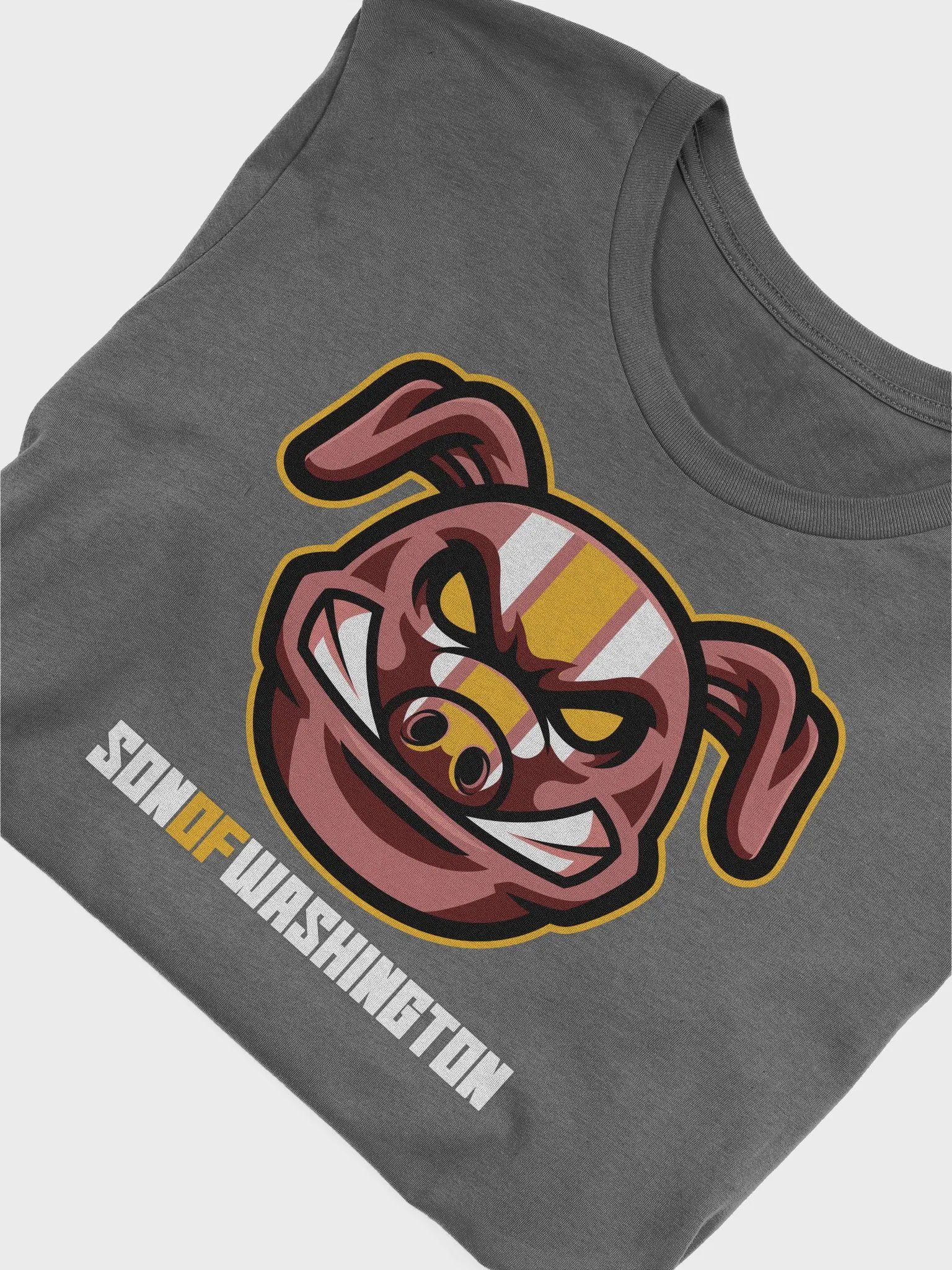 Son OF Washington T product image (25)