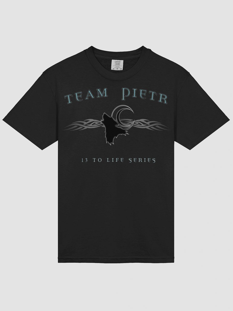 TEAM PIETR T-shirt— 13 TO LIFE series T-shirt product image (3)