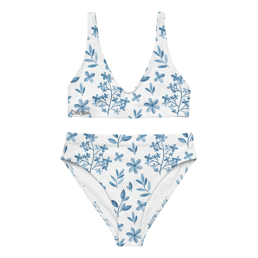 DizSea High Waisted Bikini product image (1)