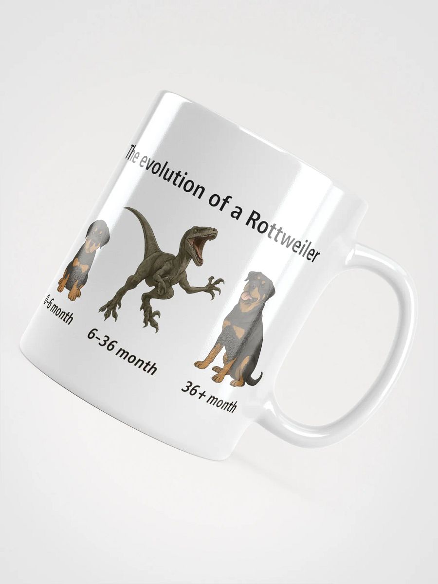 The Evolution of a Rottweiler - Mug product image (8)