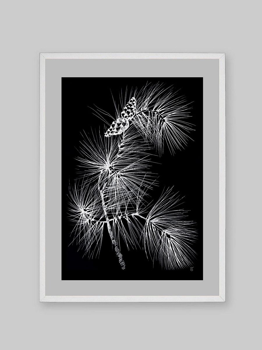 Vibrant Matte Paper Poster - Pine Branch and Cones product image (8)