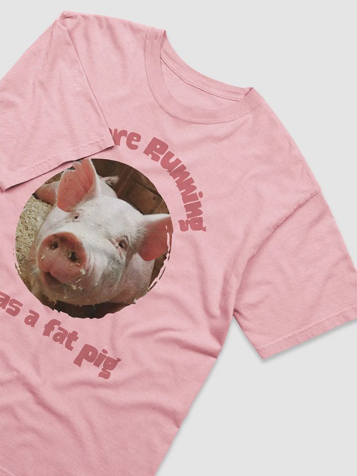 Ultra-Soft Fat Pig Heavyweight Tee product image (2)