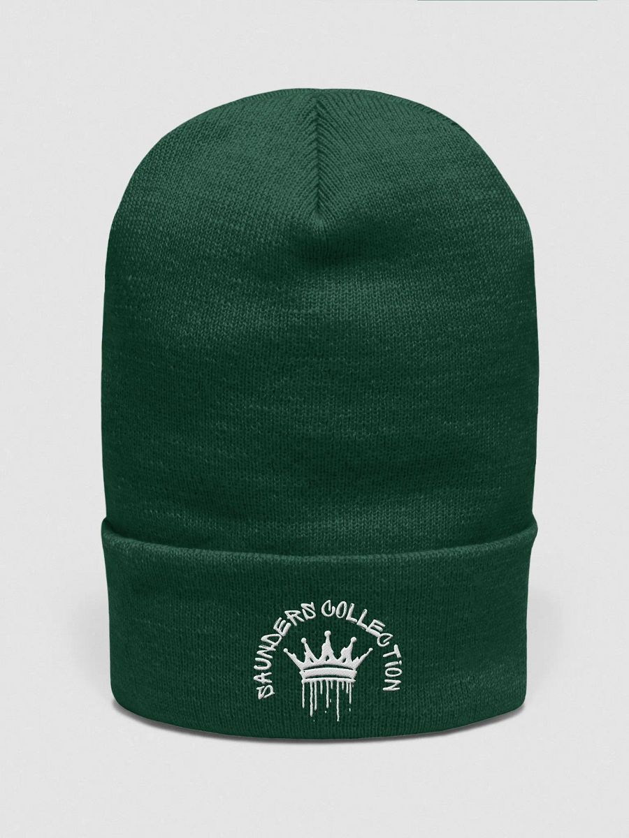 SAUNDERS CO SKULLY product image (21)