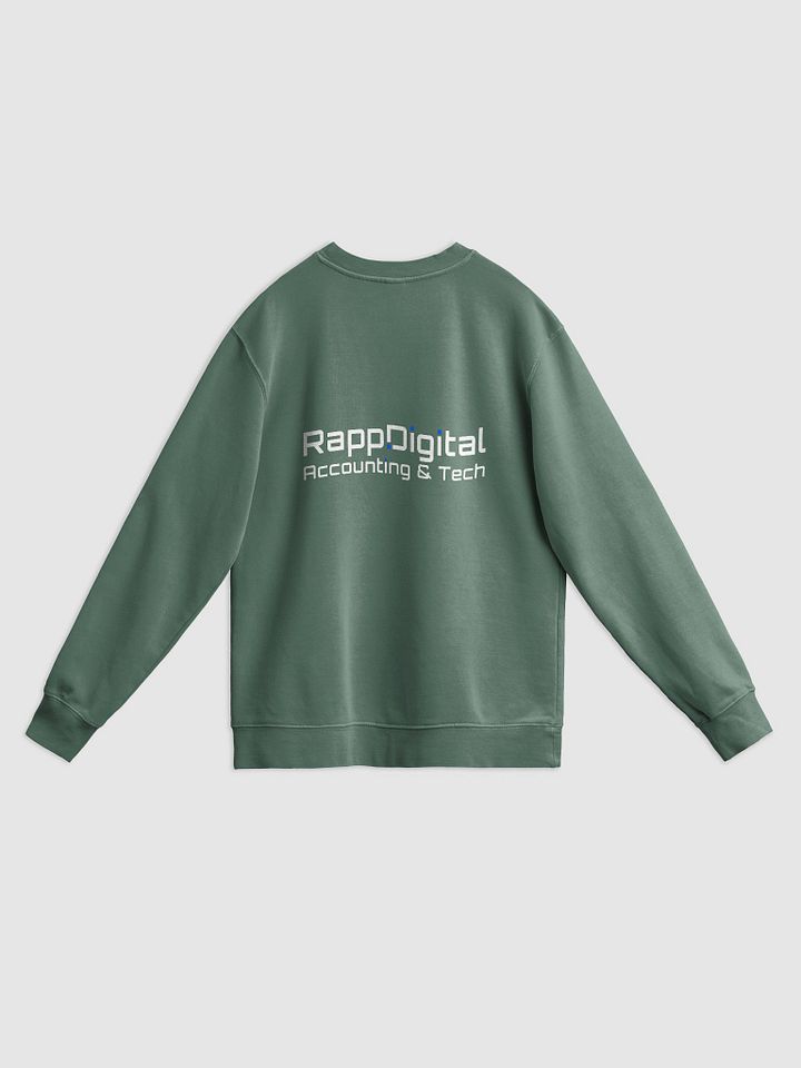 Rapp.Digital Pigment-Dyed Sweatshirt product image (22)