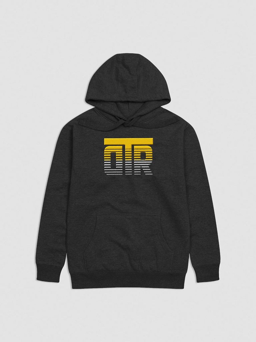 DTR Embroidered Hoodie product image (2)