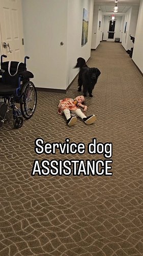 Here's a video we made last year (2024) here at @quantumhouse showing four of the tasks Gemelli can perform (as a mobility su...