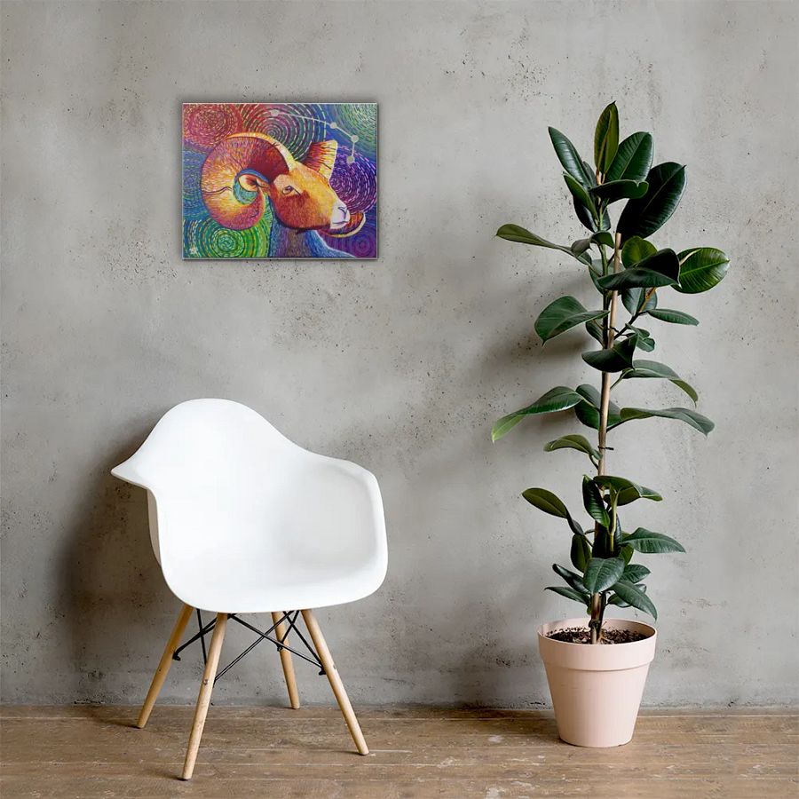 Aries Aurora product image (5)