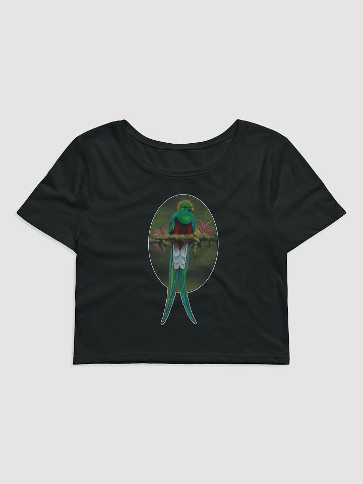 Resplendent Quetzal - SFA Crop Tee product image (1)