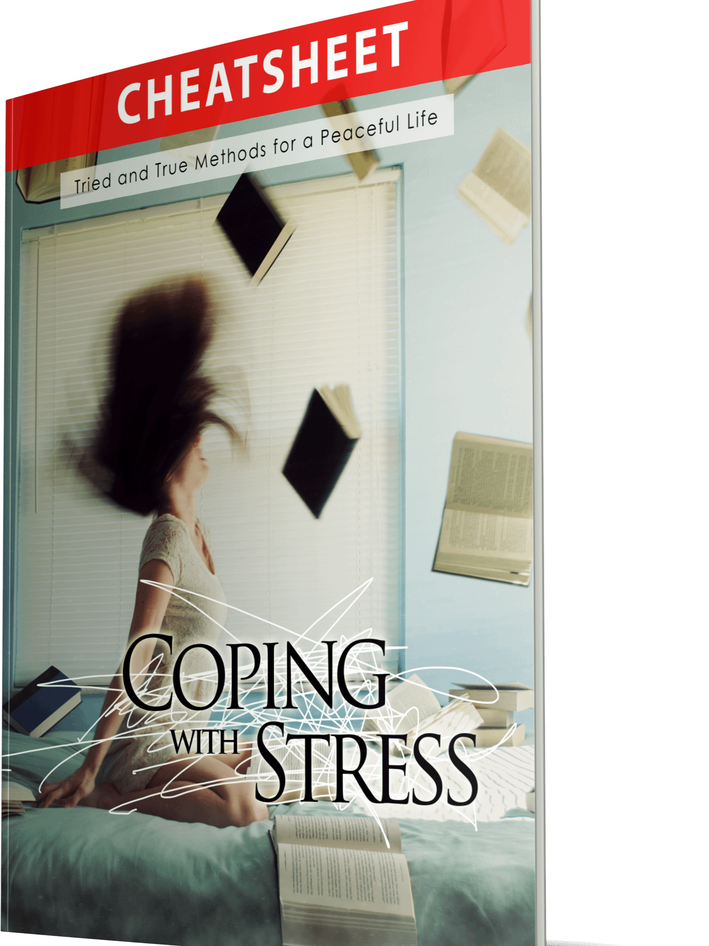 Coping With Stress eBook product image (3)