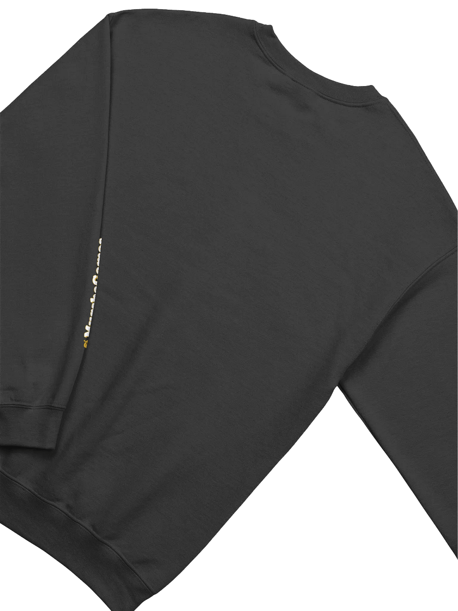 Retro Hater Sweatshirt product image (4)