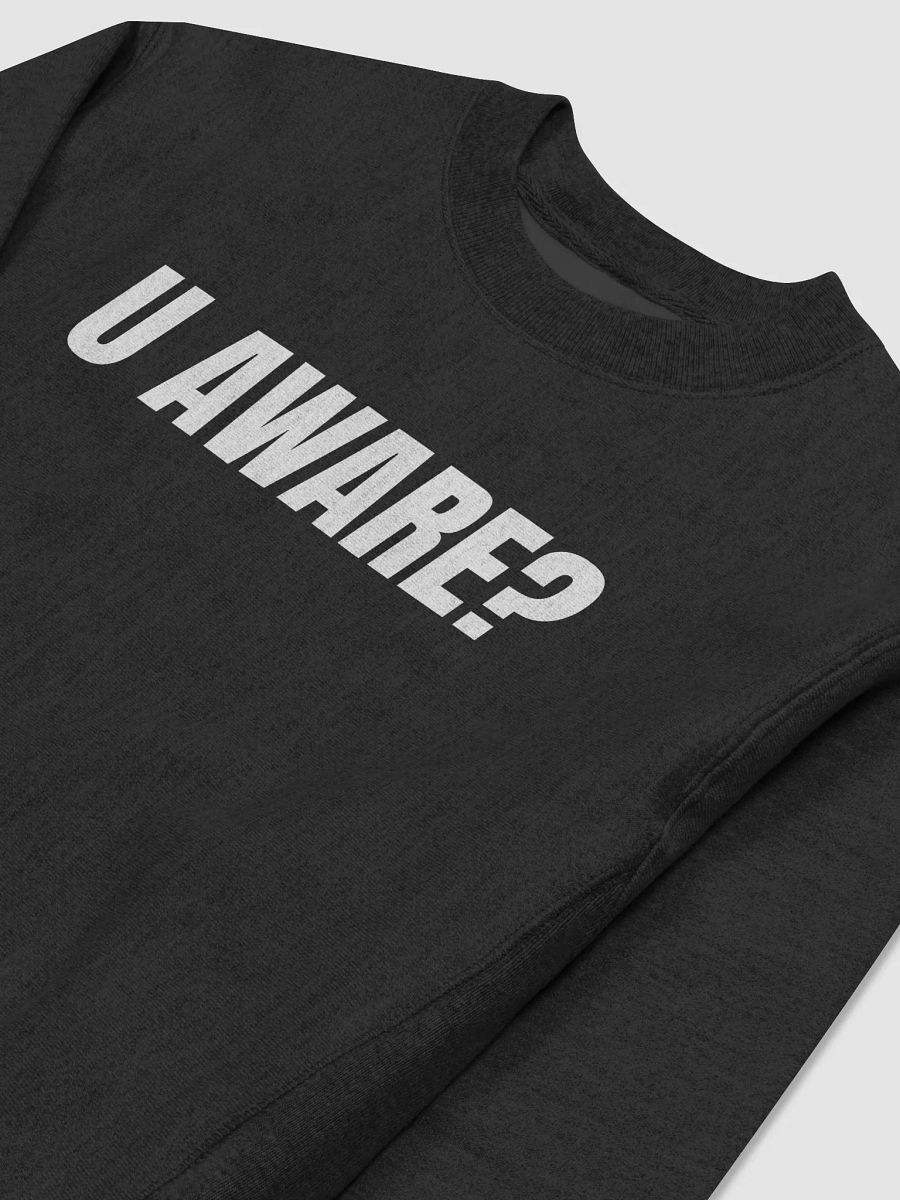 U Aware - Premium Champion Sweatshirt product image (3)