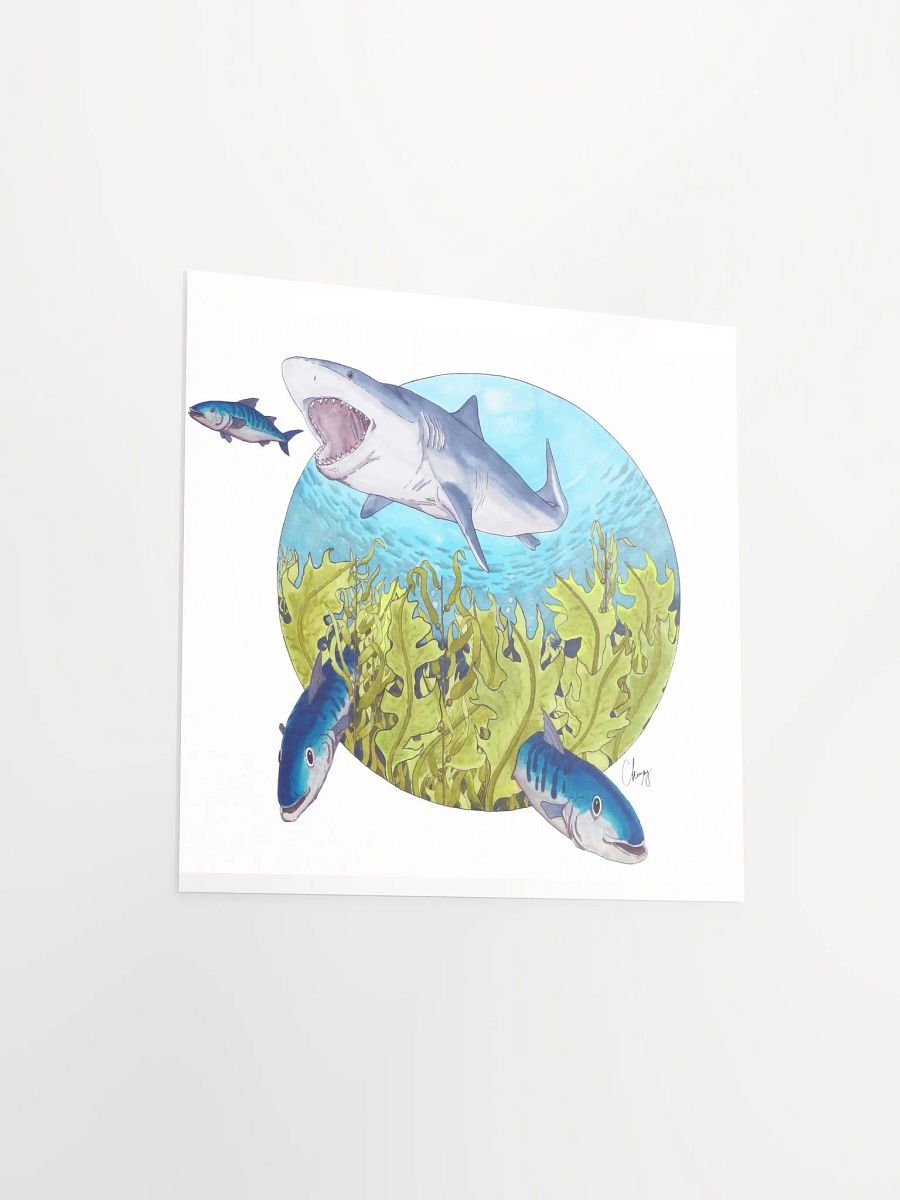 Shark Dinner product image (3)