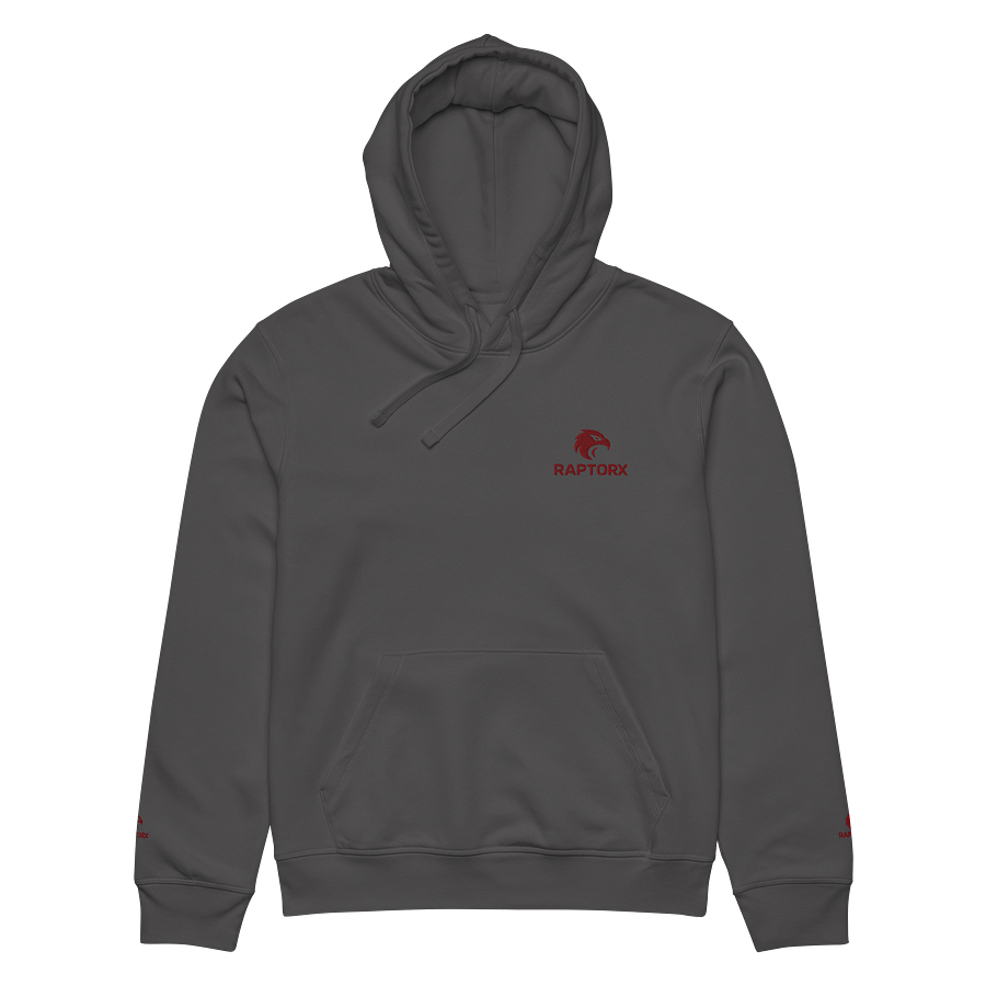 RaptorX Bold Maroon Hoodie product image (27)