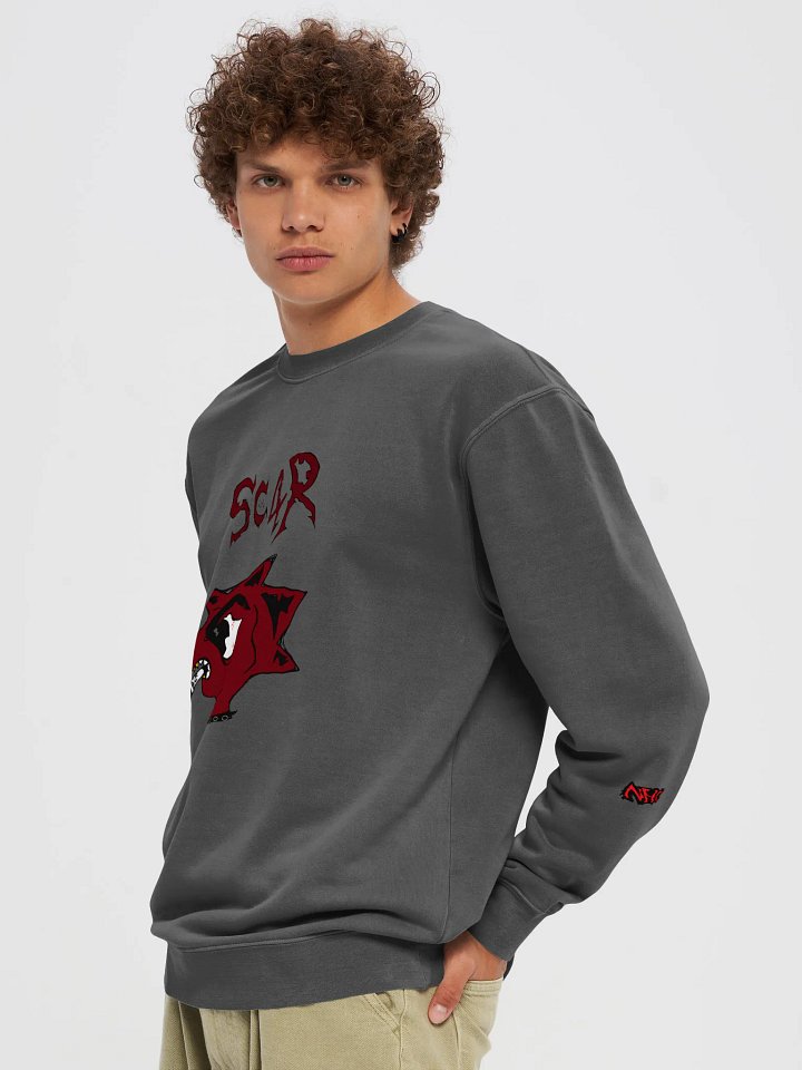 SC4R product image (2)
