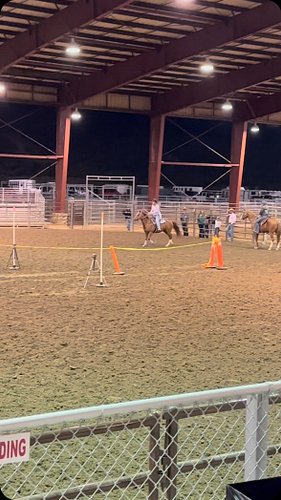 Throwback to Ladies Night speed barrels #horse #horsesofinstagram #equestrian #trailride #horsebackriding