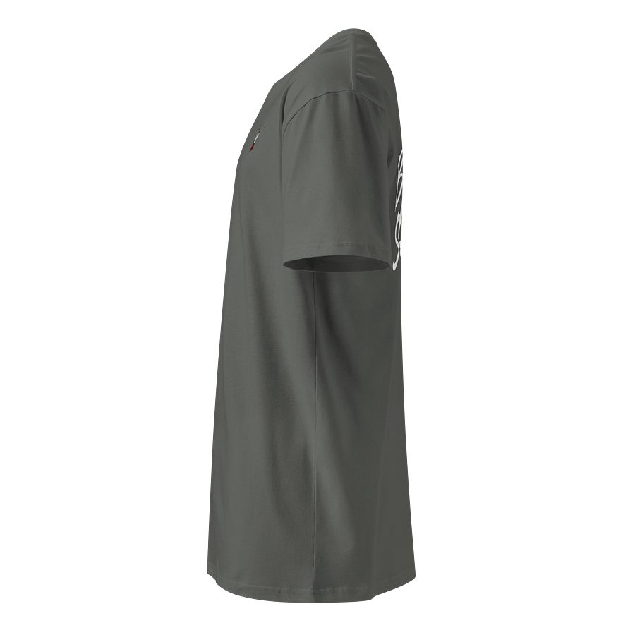 Red Stag Travel Co. - Better Shared Tee product image (3)