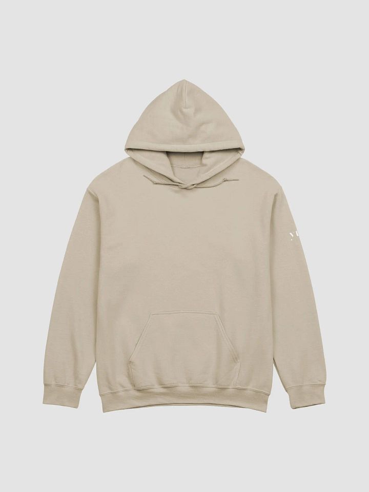Consider the Birds Hoodie product image (1)