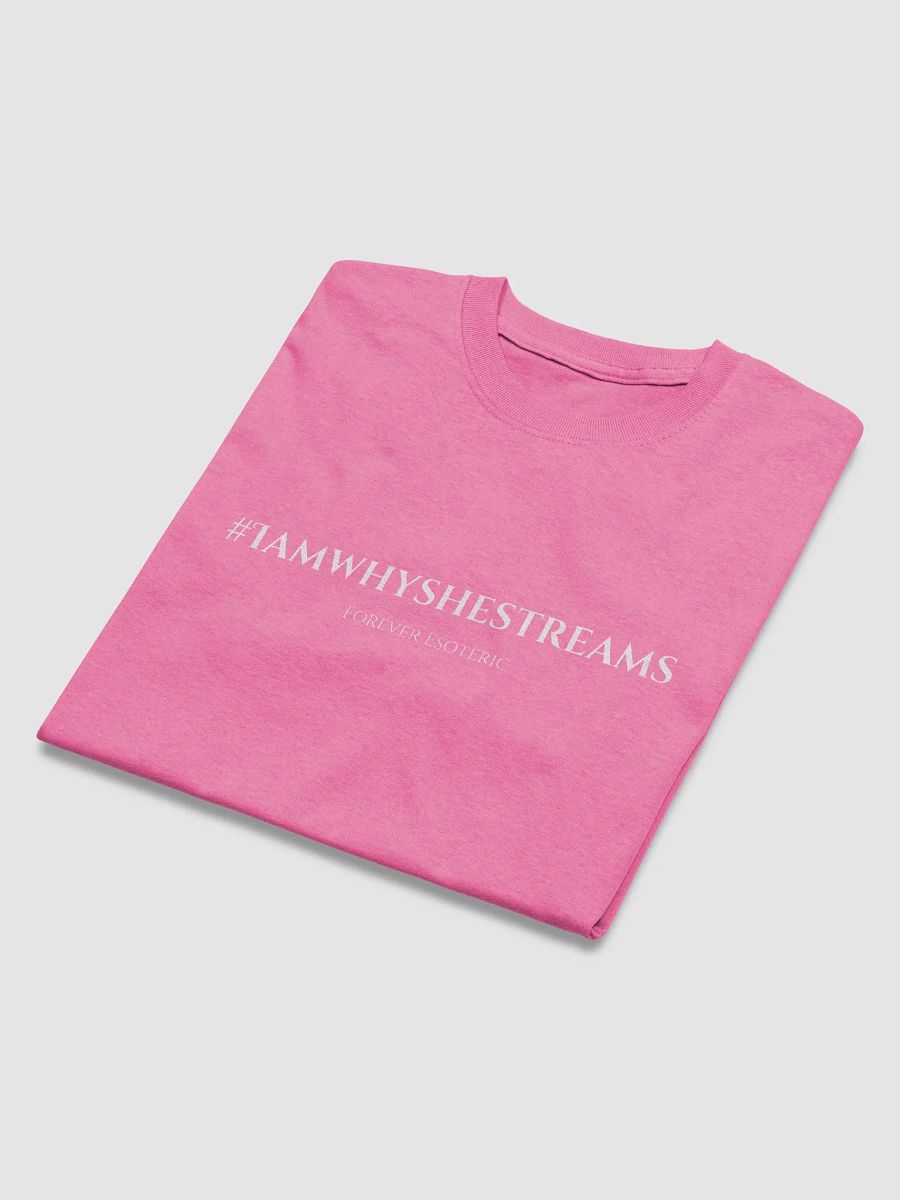 IAWSS Tee (White Text) product image (44)