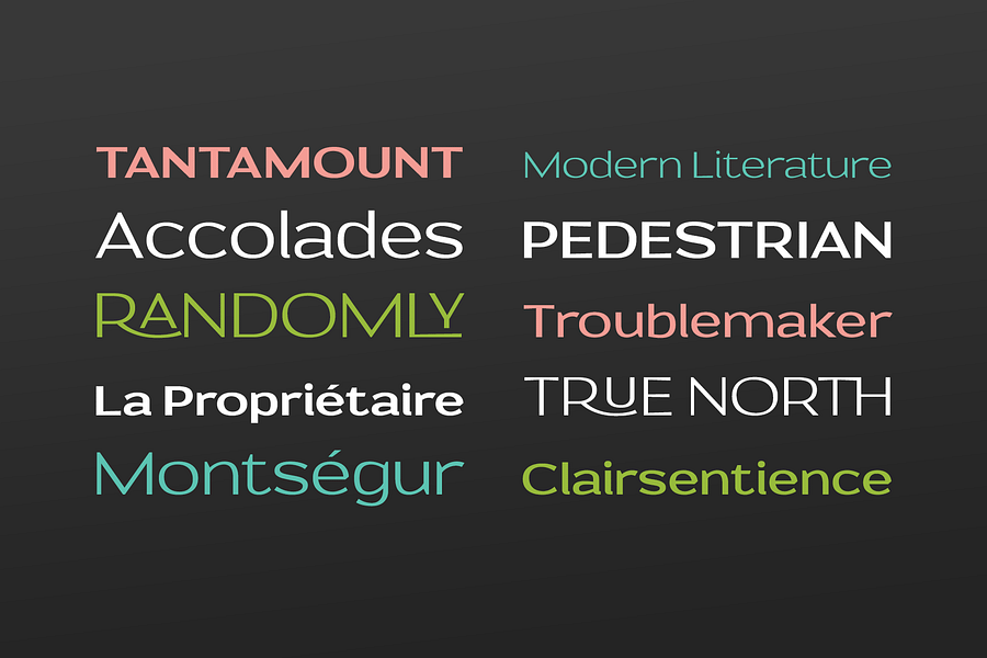 Prose Sans | A Wide Sans Serif Font Family product image (3)