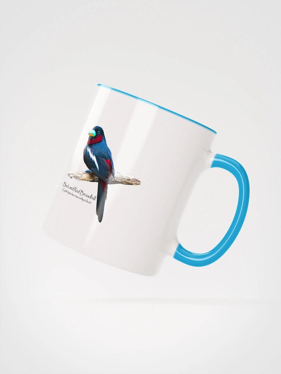 Black and Red Broadbill mug product image (15)