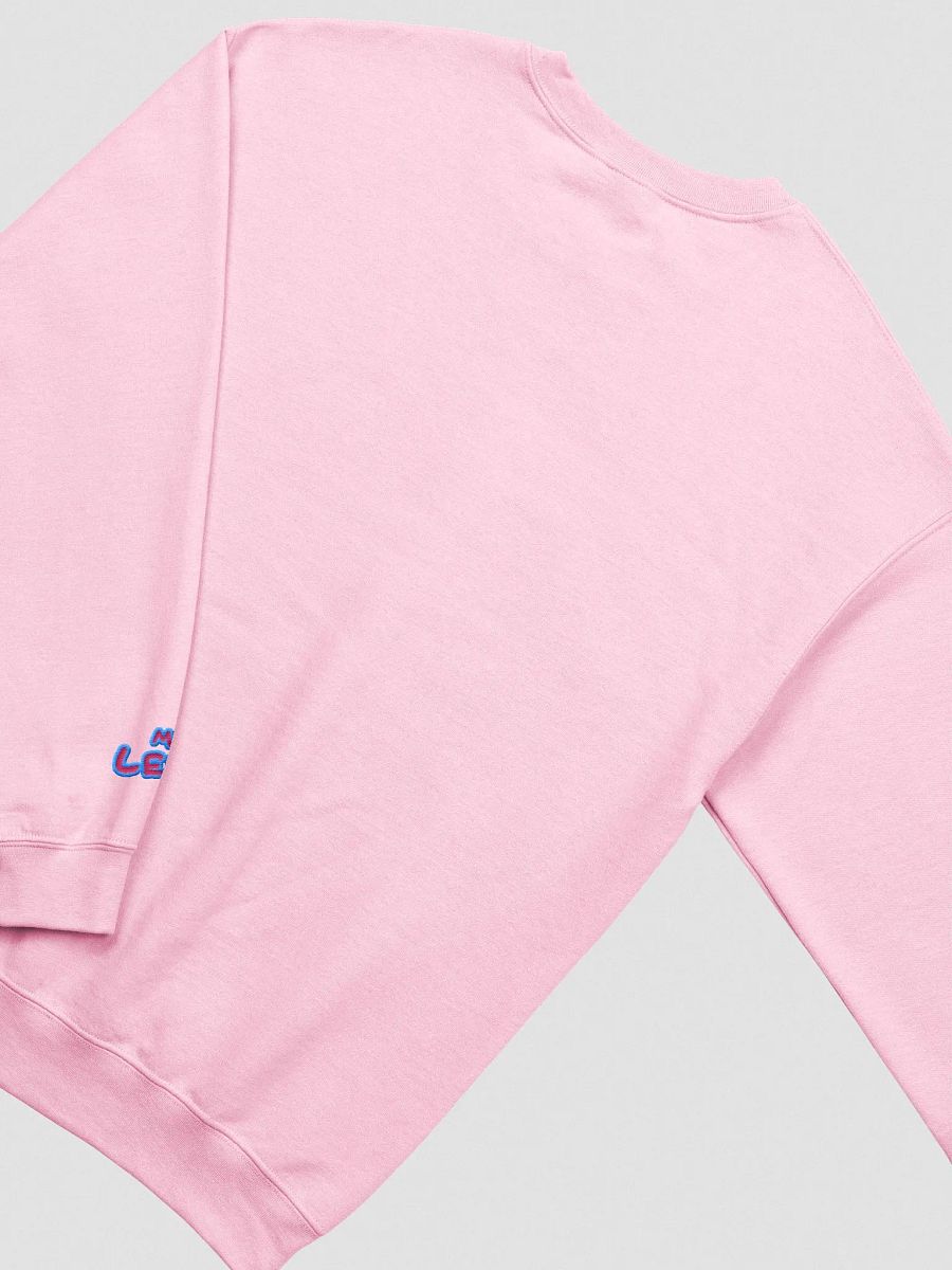 my left from my right embroidered crewneck (BUBBLEGUM DESIGN) product image (3)