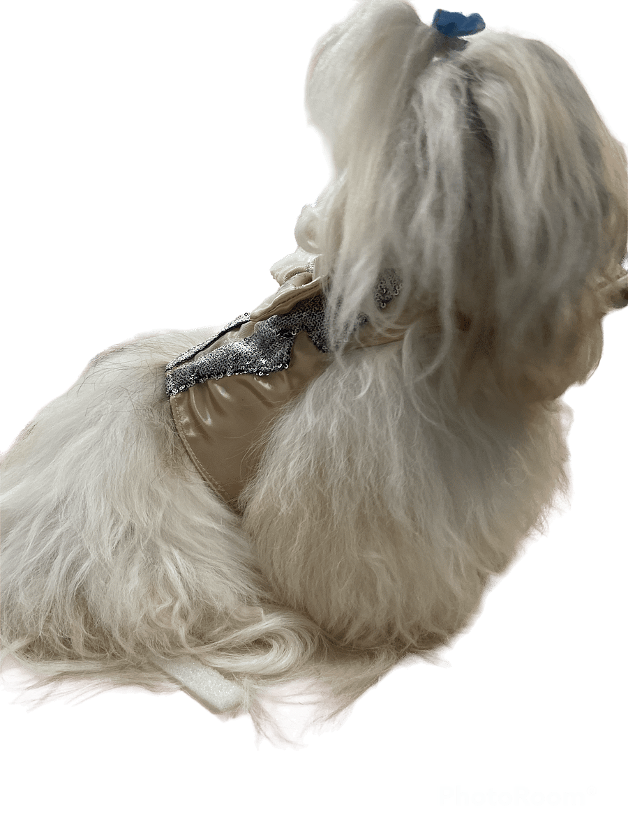Smoking Star Fashion - Modelagem Pet PDF product image (2)