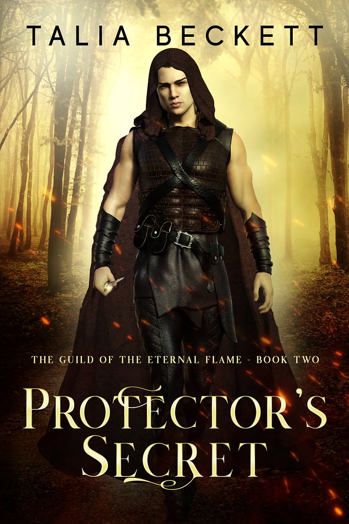 Protector's Secret - signed paperback product image (1)