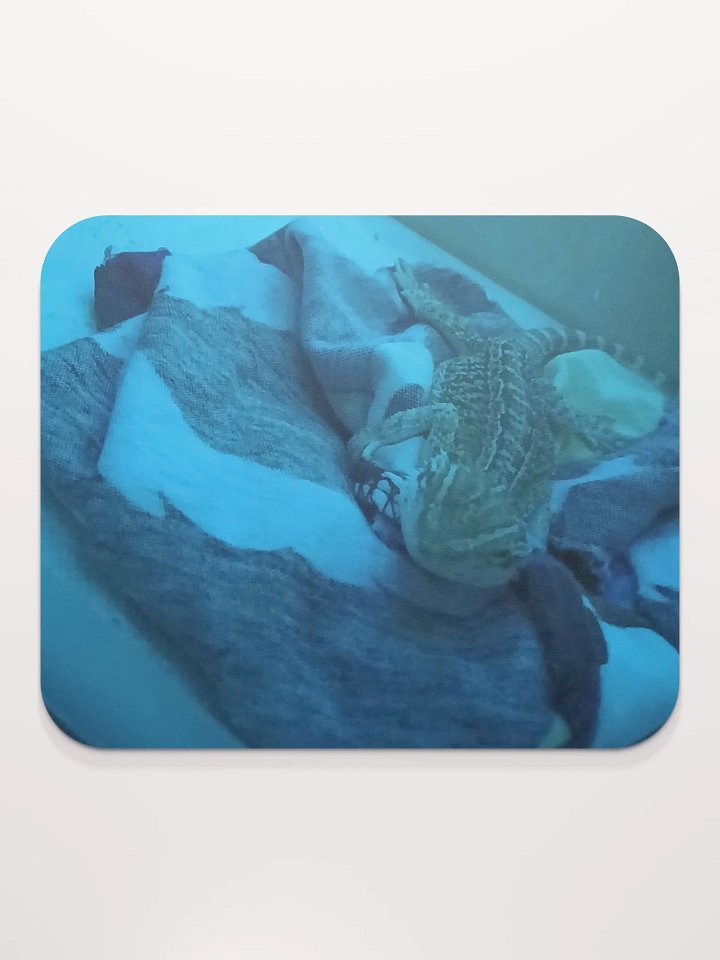 Sleepy Zora product image (2)