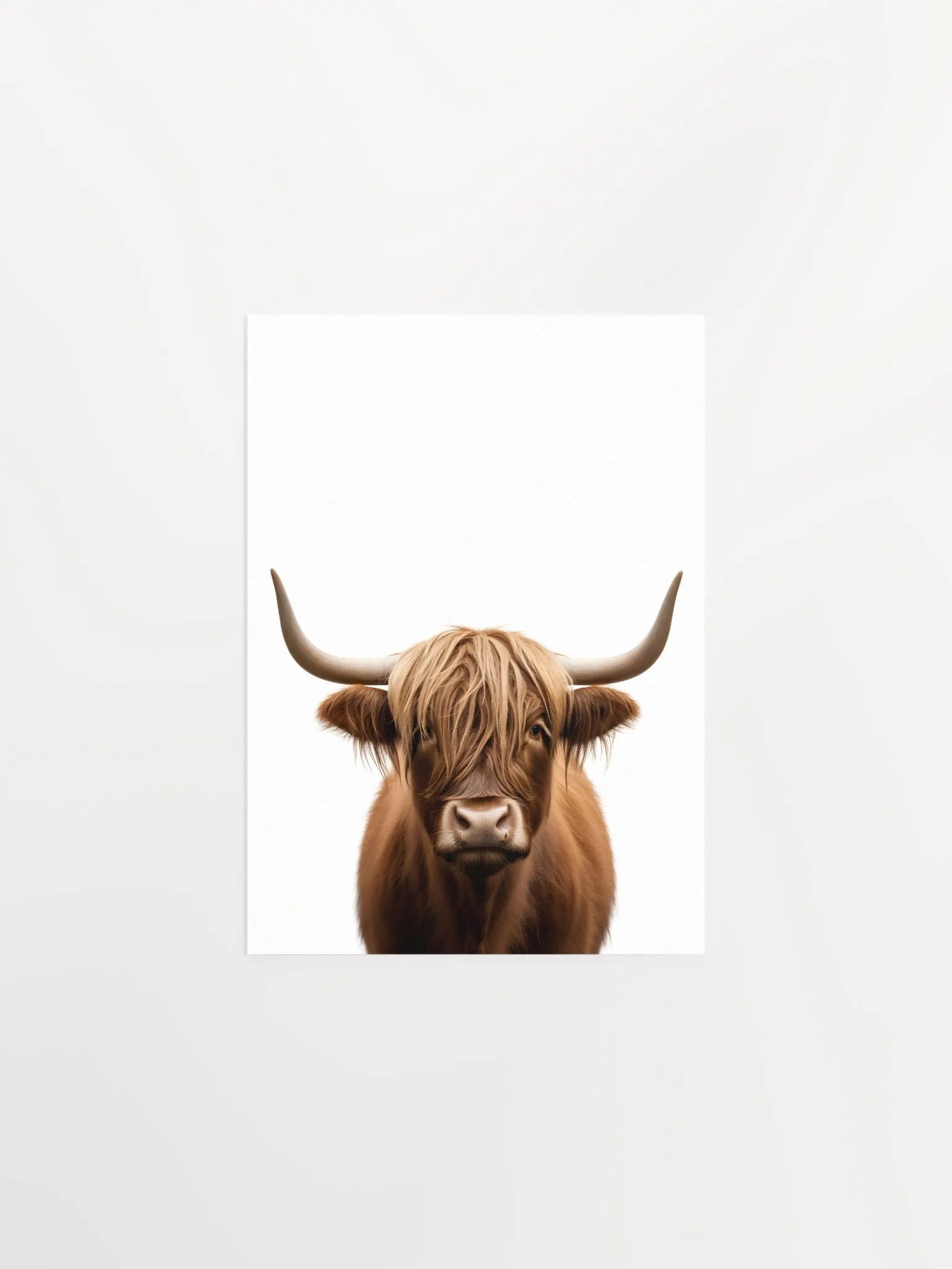 Highland Cow Portrait product image (3)