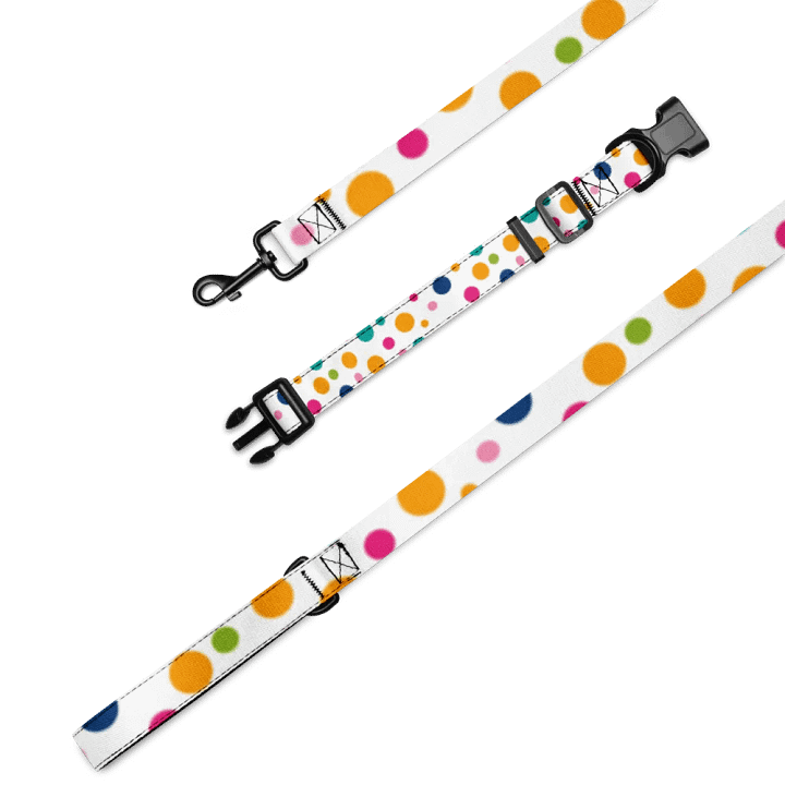 Harmony Hues Pet Collar & Leash Set product image (2)