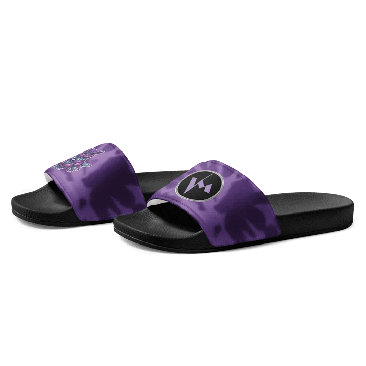 TVM Mystical Owl - Men's Slides product image (1)