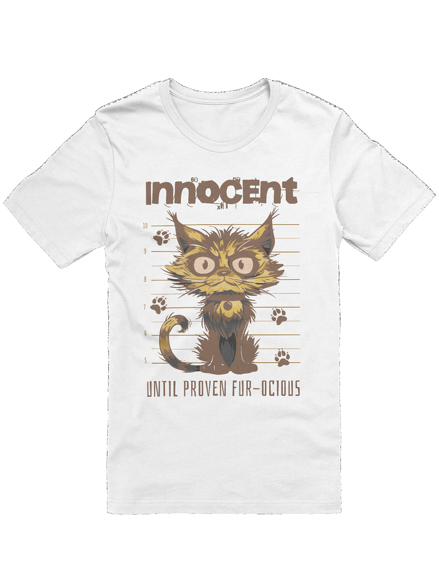 Cat Bandit | Unisex Bella+Canvas Supersoft T-Shirt product image (2)