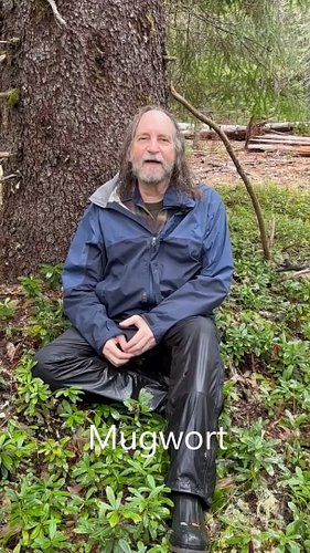 Dancing Interplay of Hormonal Cascades
Reproductive System Intensive
with Howie Brounstein
 
Date: Monday – Thursday December...