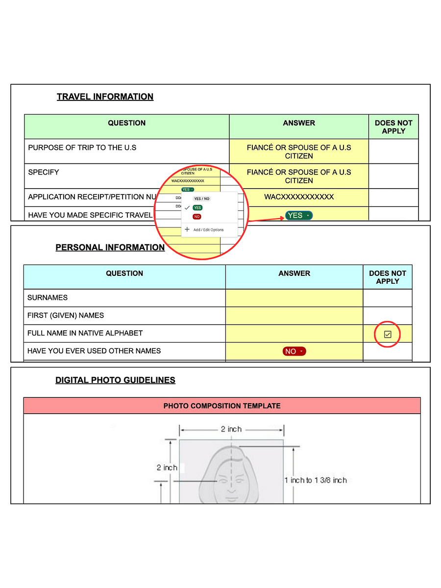 DS-160 Application Template product image (2)
