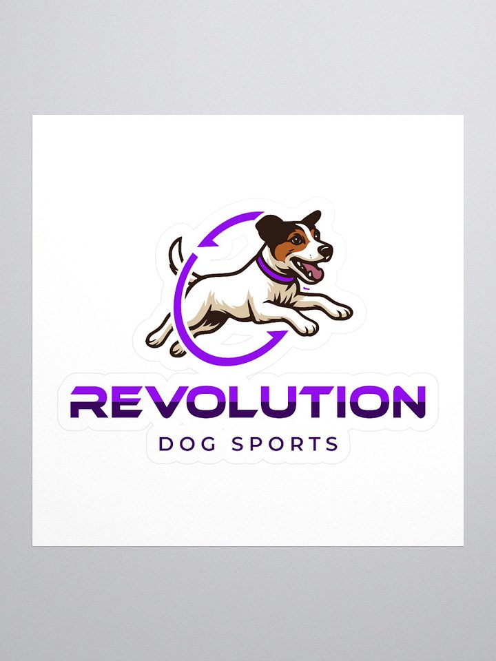 RDS Logo Sticker product image (1)