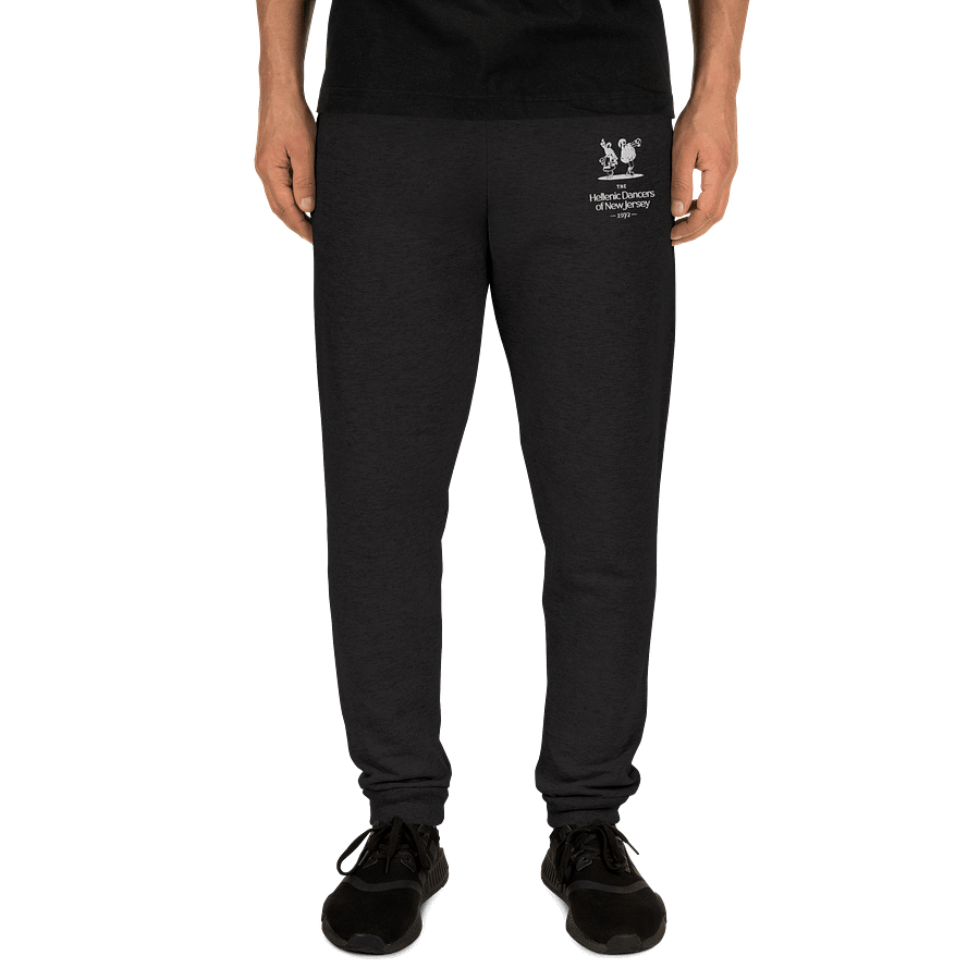 HDNJ Embroidered Joggers product image (8)