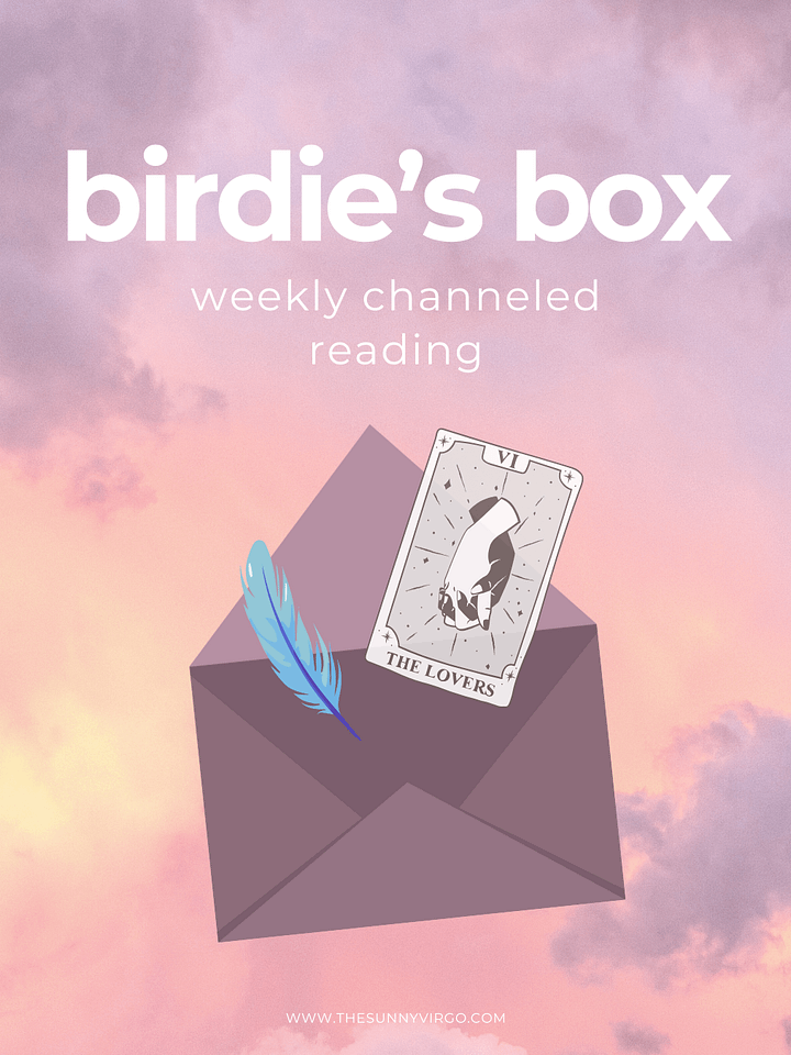 Birdie's Box product image (1)