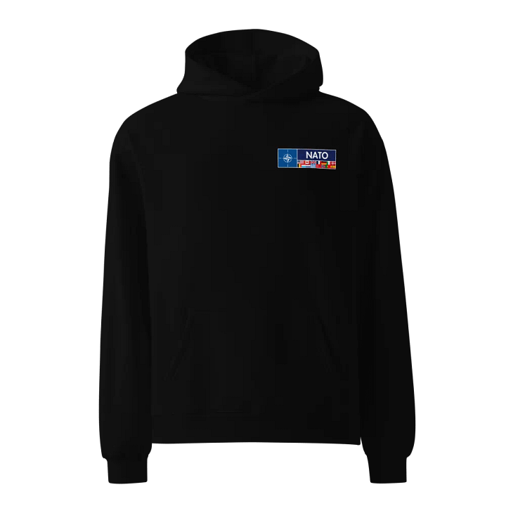 NATO Premium Oversized Hoodie product image (2)