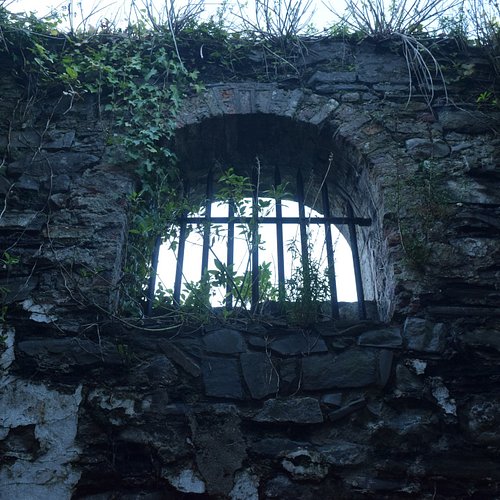 2025's End of Year video is filmed LIVE ON LOCATION in a Graveyard! What has this got to do with MMA? WHO KNOWS!

But you'll ...