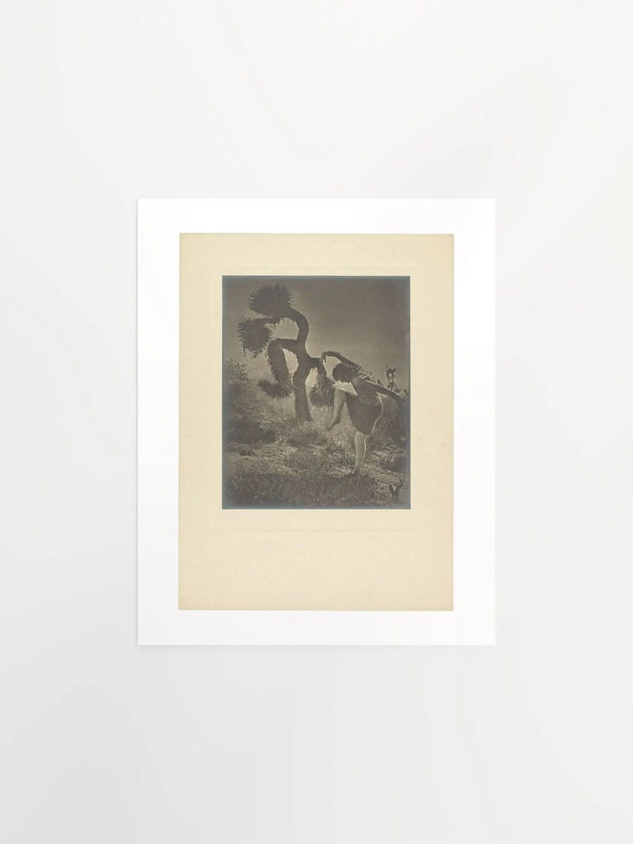 Dancing Spirit of the Joshua - First Lessons by Louis Fleckenstein (1930) - Print product image (1)