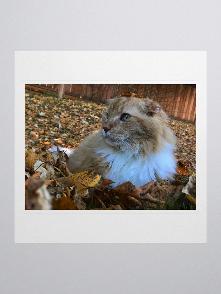 Autumn Boy Sticker product image (1)