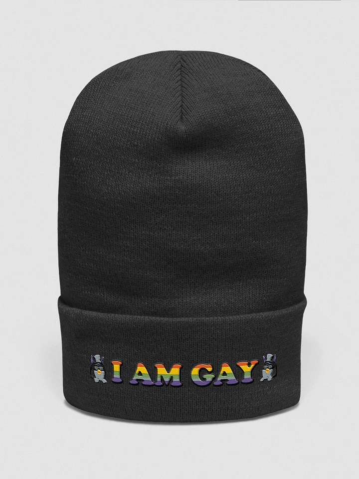 I Am Gay Beanie product image (1)