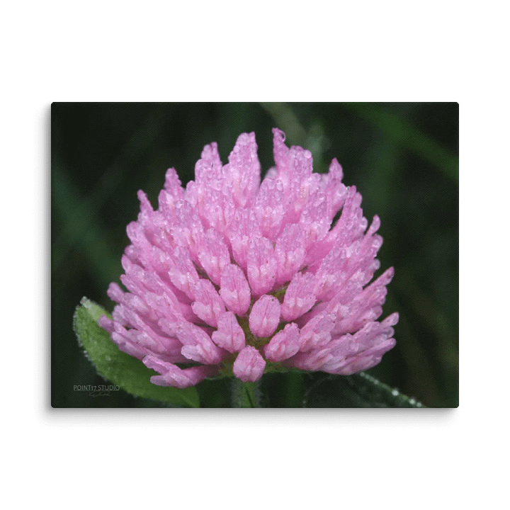 Soaked Purple Clover - Print On Canvas product image (2)