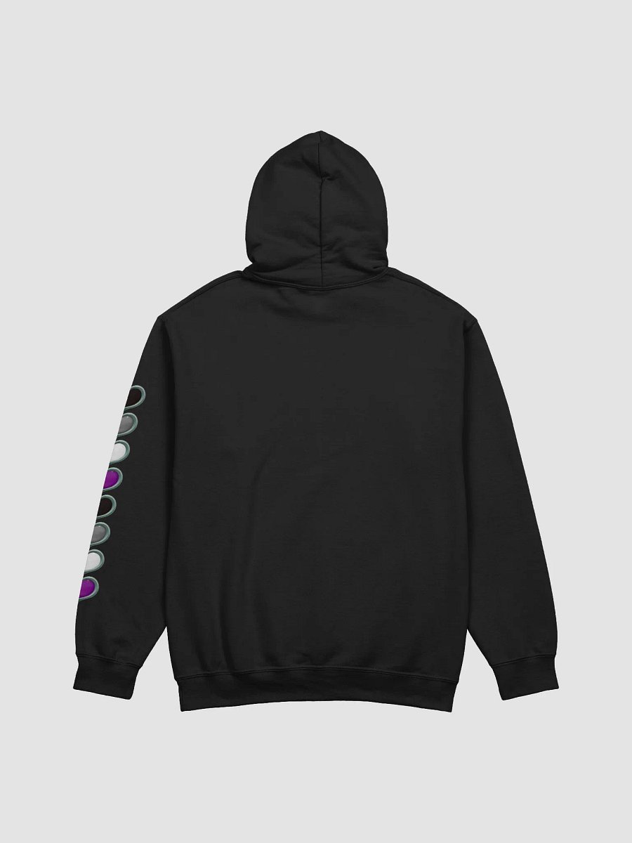 1UP Gaming Festival Asexual Pride 2025 Hoodie product image (6)