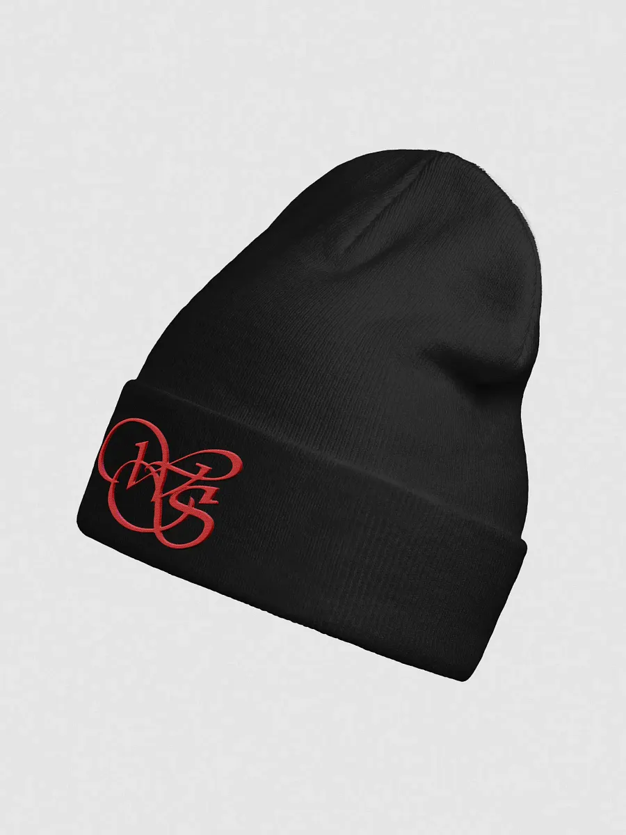 WS Knit Beanie product image (7)