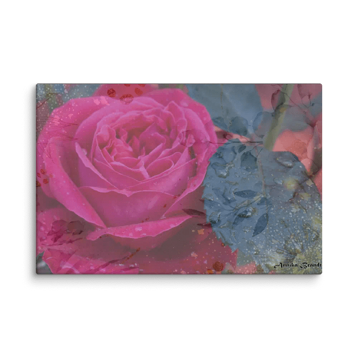 Canvas: Rose of Heart Raindrops (DA) product image (1)
