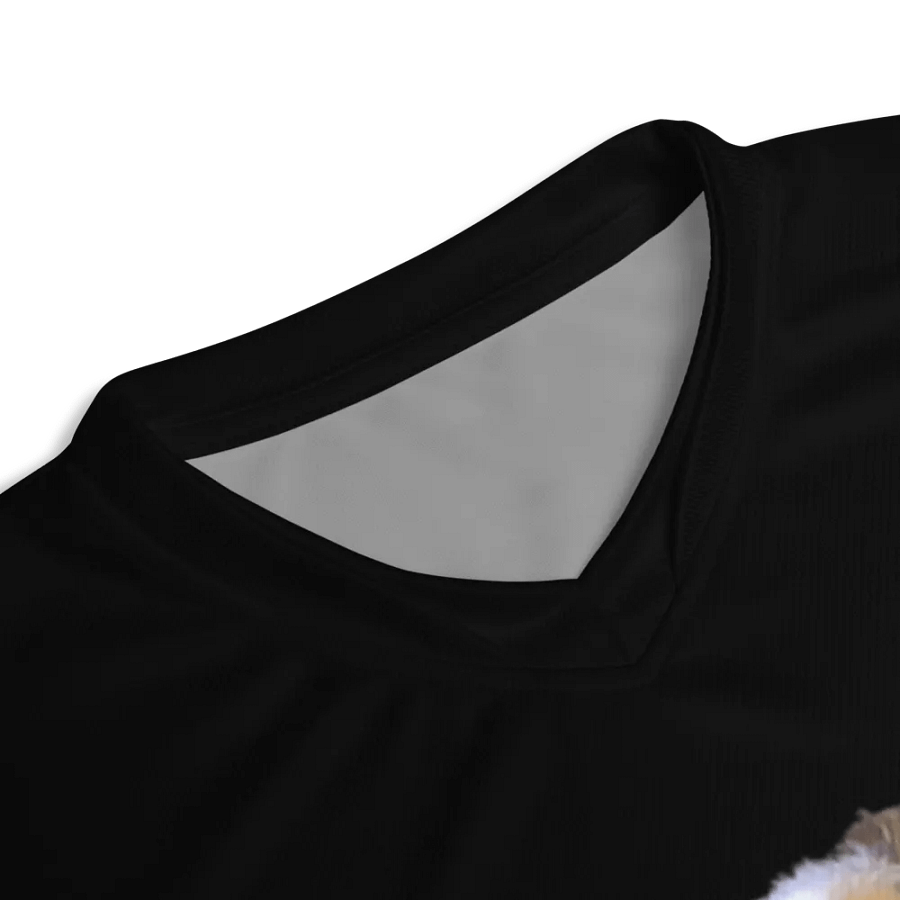 holesome_ gaming jersey product image (5)