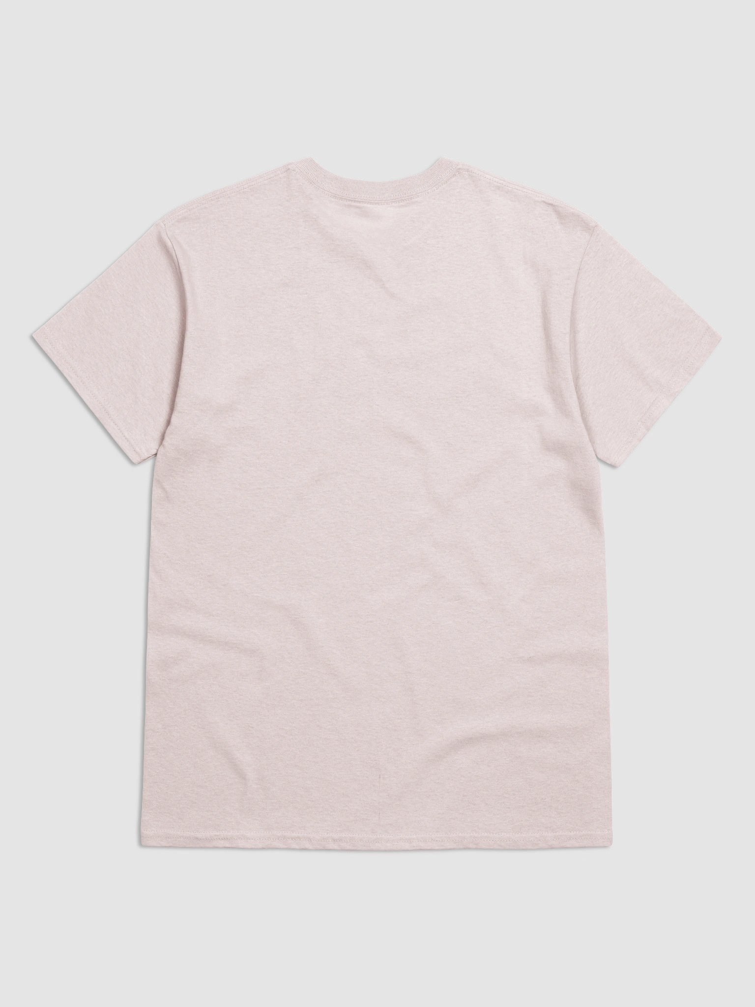 Healthy Wealthy Vegetarian & Vegan T-Shirt product image (6)